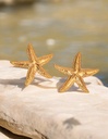 Aro estrella de Mar 