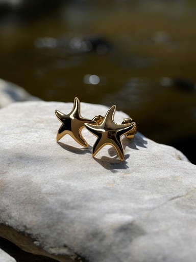 [D. 291] Aros Estrella Mar (medium)