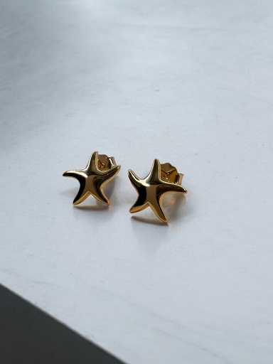 [D. 314] Aro Estrella de Mar (small)
