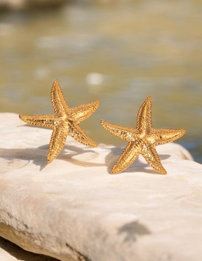 [D. 406] Aro estrella de Mar 