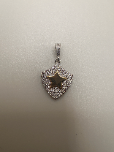 [D. 496] Dijes Estrella Militar