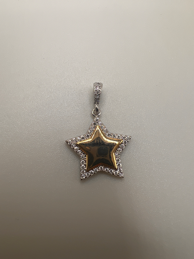 [P- 037] Dije Estrella  